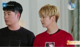 鹿晗迪丽热巴娱乐圈爆料,揭秘背后真相与影响